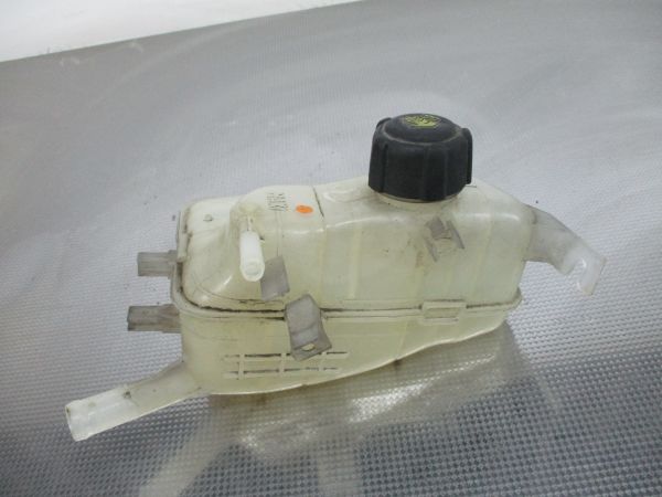 Vaso Expansao / Radiador RENAULT Scénic III (JZ0/1_)