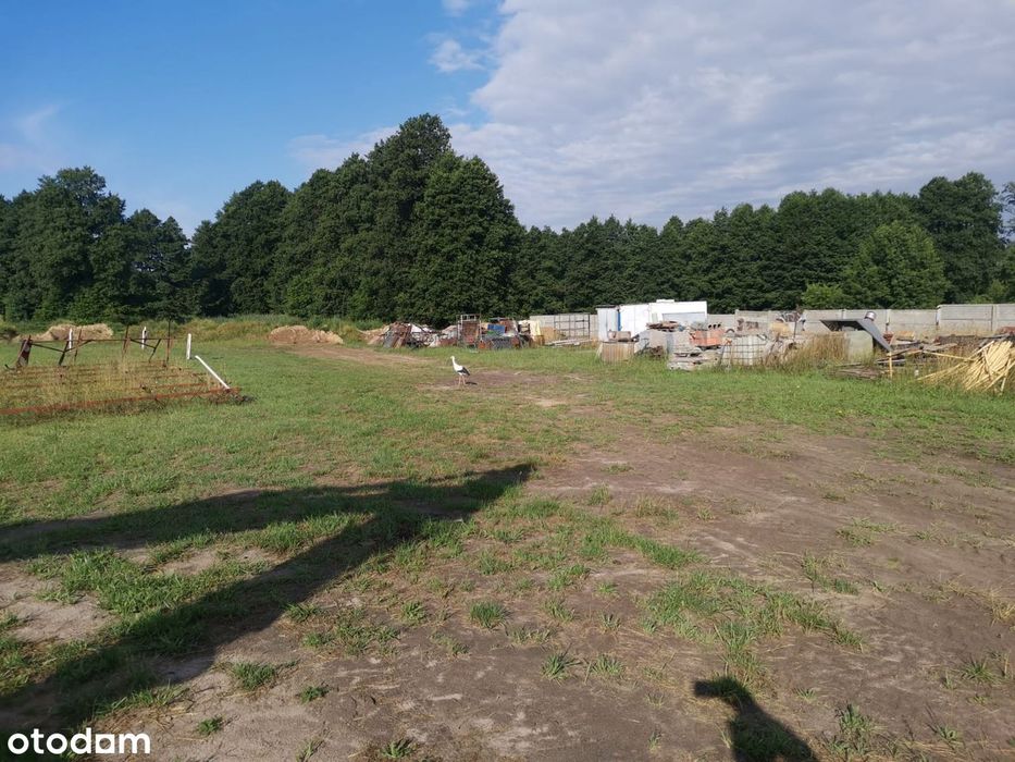 Działka rolno-budowlana z mediami do wynajęcia - Widok 3