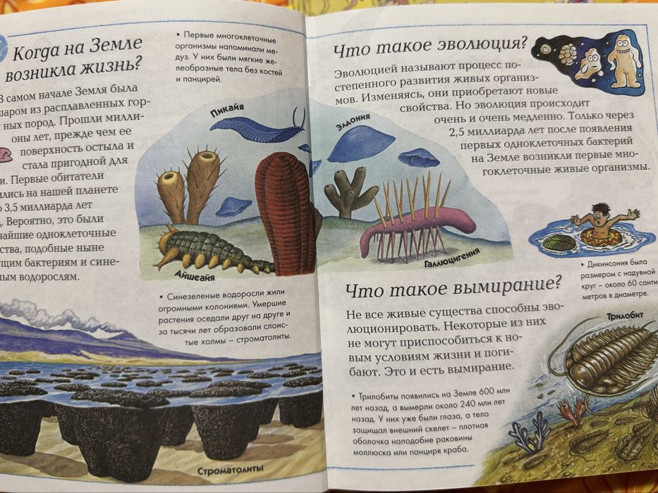 Энциклопедия  Где, что и когда?