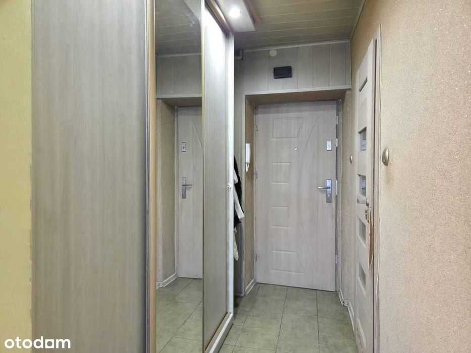 Mieszkanie 45,1 m2/piwnica 7,4 m2/ centrum