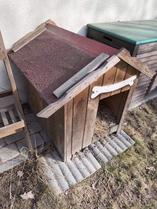 Buda dla psa ZA DARMO