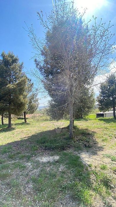 Terreno  para venda — Planalto De Monforte (União Das Freguesias De Oucidres E Bobadela), Vila Real
