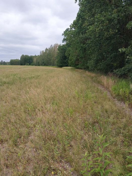 Działka budowlana 0,10ha