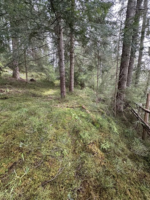 Земельна ділянка с.Яблуниця, переведена під будівництво!