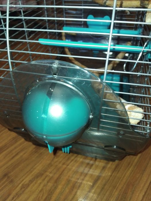 Klatka papuga,kanarek