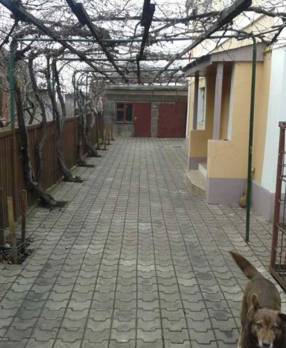 House in Odesa - View 3