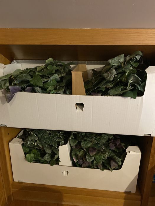 Plantas artificiais verticais IKEA Fejka