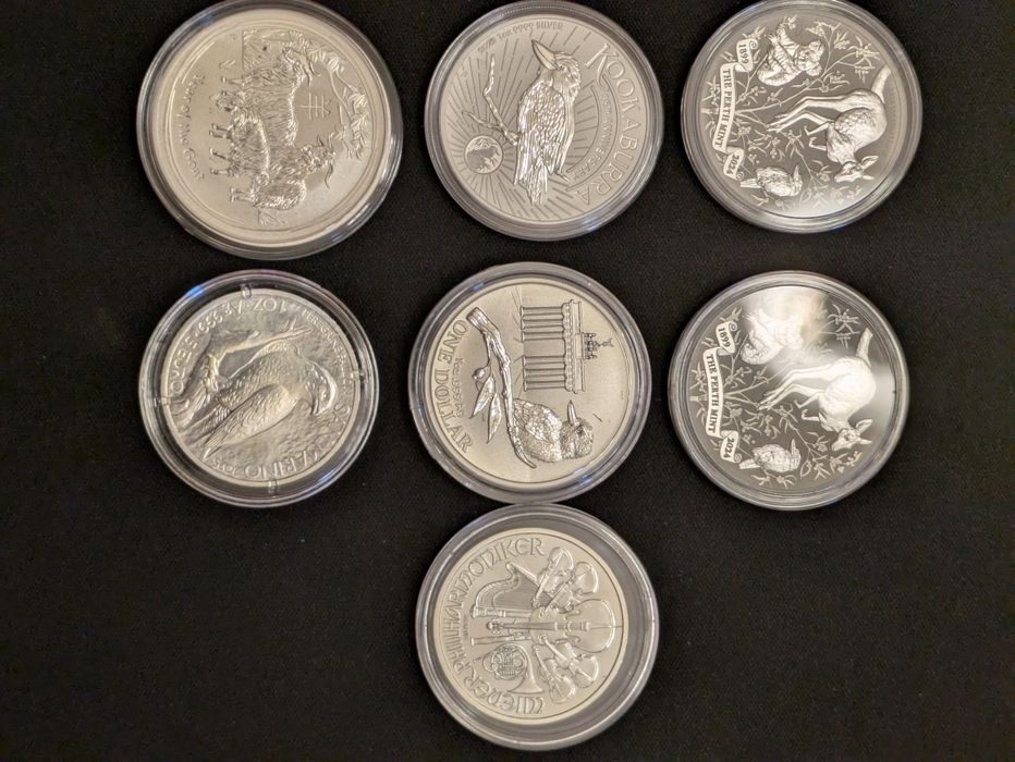 Onças Prata  Premium Várias