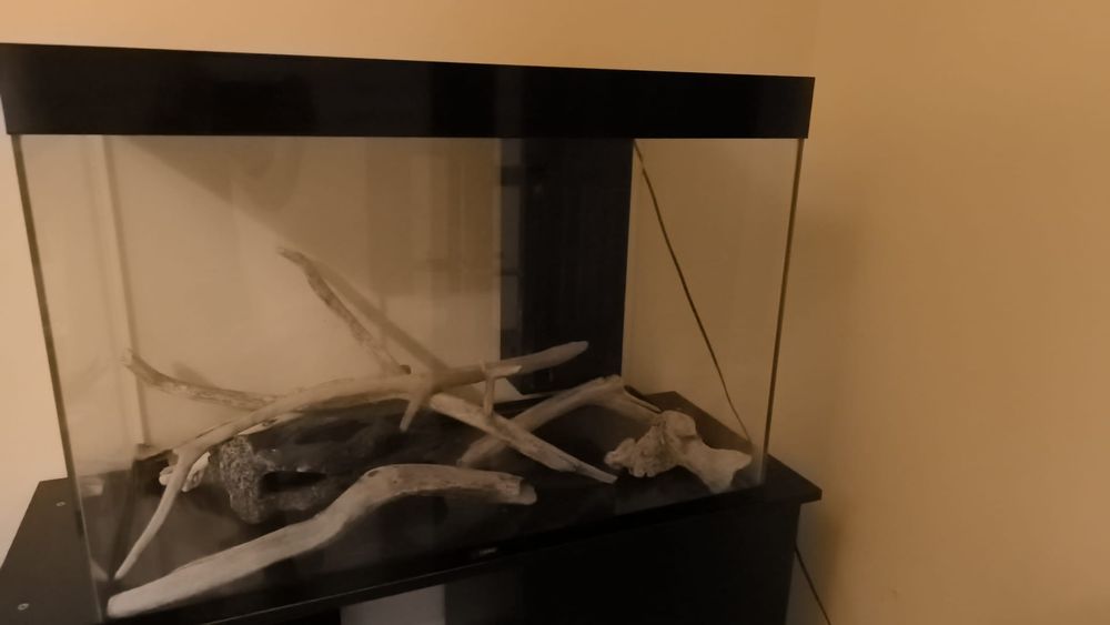 Vendo aquário 80cm
