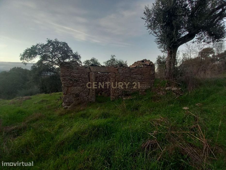 Terreno com Vista Panorâmica em Aldeia de Santa Margarida