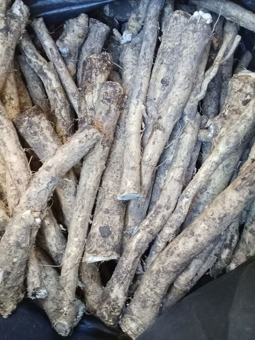 Корінь хрону. Без хімії.