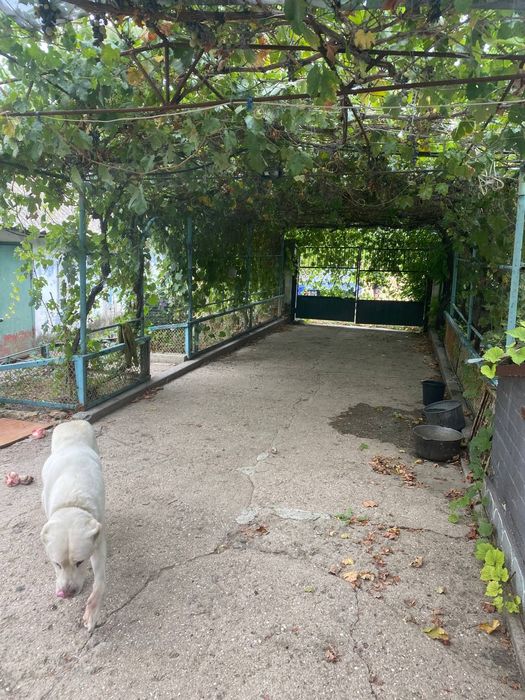 Будинок за адресою (площа 100 м²) - Atlanta.ua - фото 7