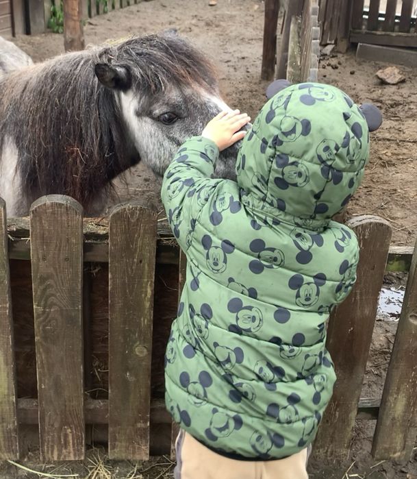 Демісезонна куртка на хлопчика  3-4 роки, 104 розмір