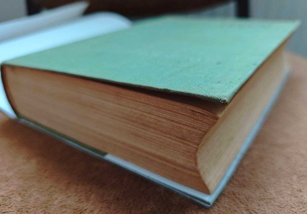 Buddenbrookowie - Tomasz Mann - nowa obwoluta