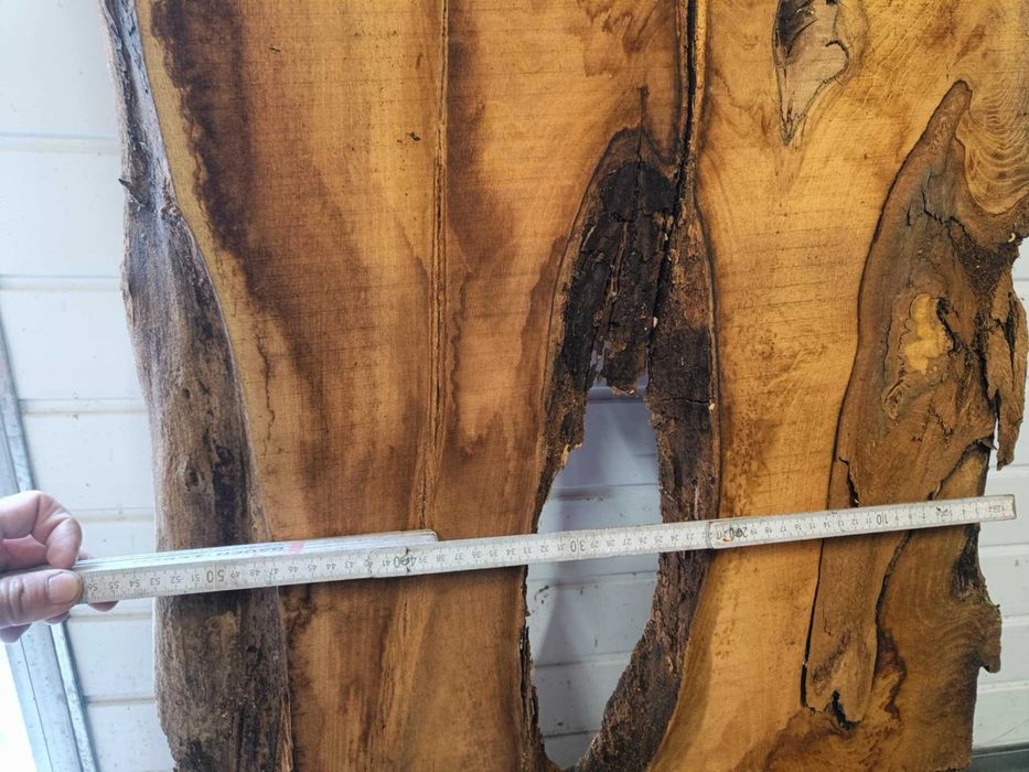 plastry plaster  blat foszty  drewna akacja