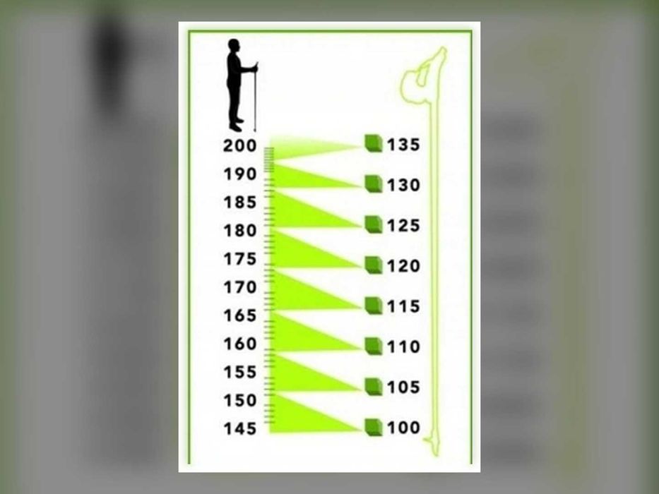 Kijki Do Nordic Walking 2 Szt Regulowane 63,5-135 Cm Trekkingowe 3 Segmentowe Czarne Do Chodzenia
