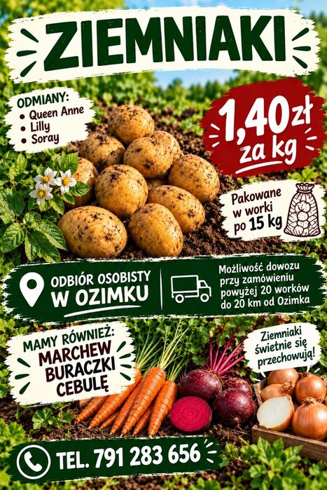 Warzywa - ziemniaki / marchew / buraki / cebula