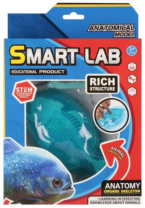 Zestaw Naukowca Anatomia Ryba Mega Creative 567933. Nowy Produkt