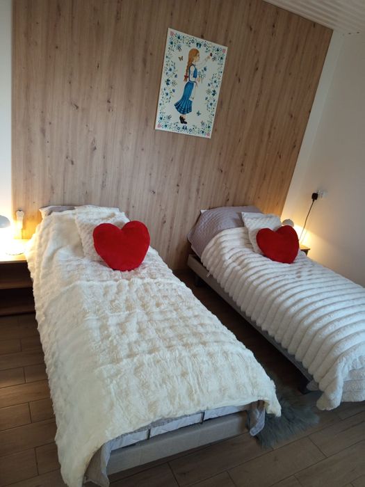 Domek na wynajem na Kaszubach z bilardem i jacuzzy- agroturystyka