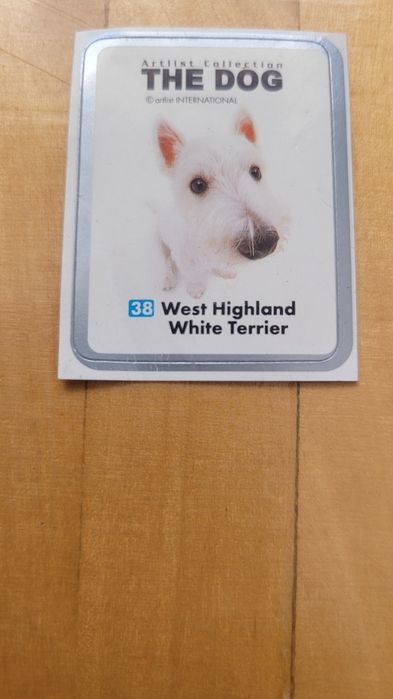 Mini naklejka The Dog