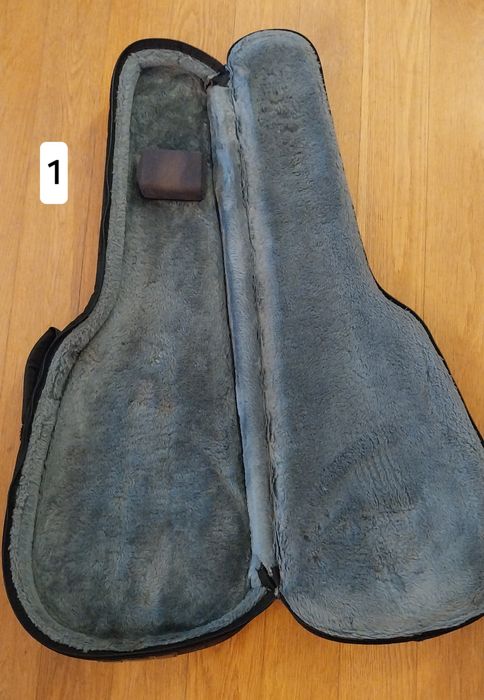 2 Soft cases/ estojos guitarra elétrica STEFY
