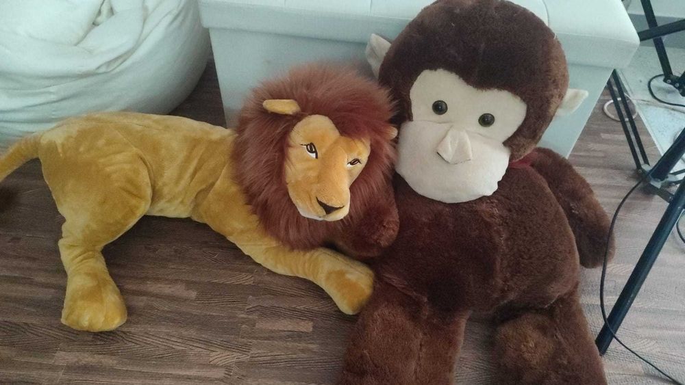 Acessórios fotografia estúdio