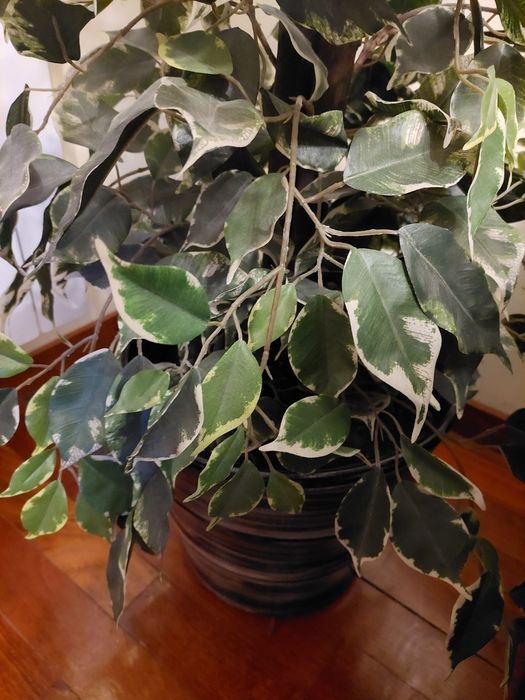 Vaso grande com planta artificial