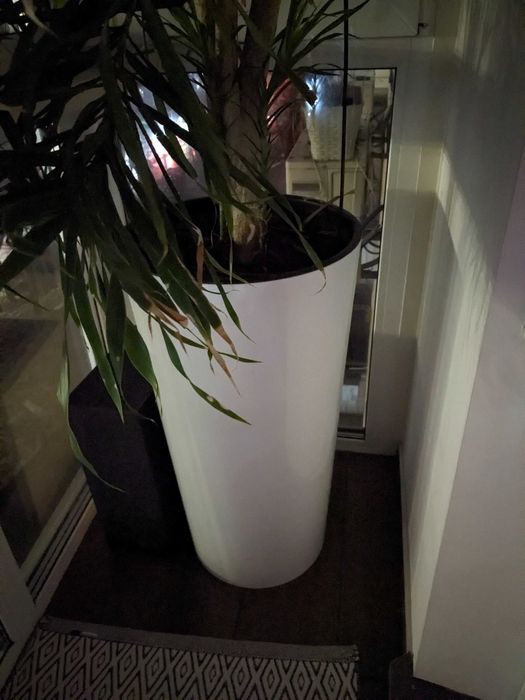 вазони для квітів