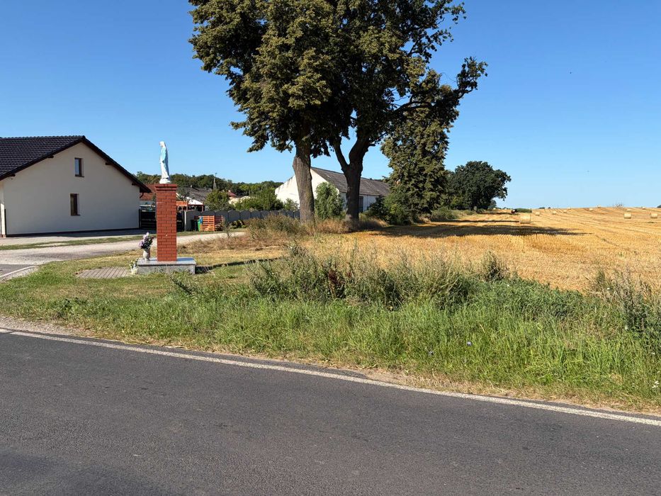 Działka 5000 m² przy drodze asfaltowej – Mełpin, gm. Dolsk