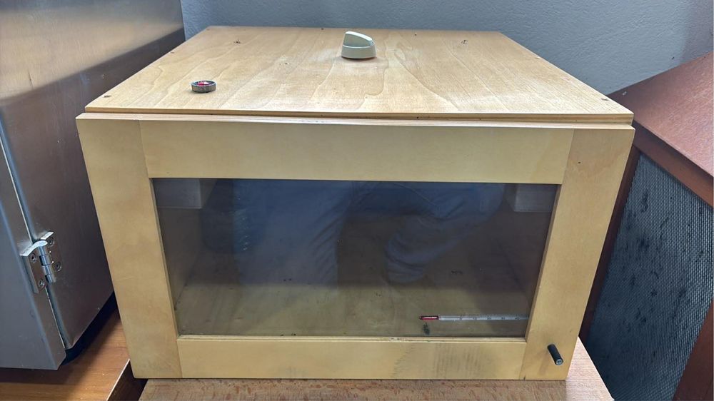 Incubadora abelhas rainhas