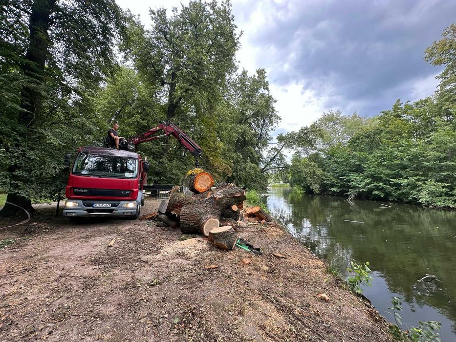 Wycinka Drzew, Karczowanie Terenów, Zrębkowanie i Pielęgnacja Ogrodów
