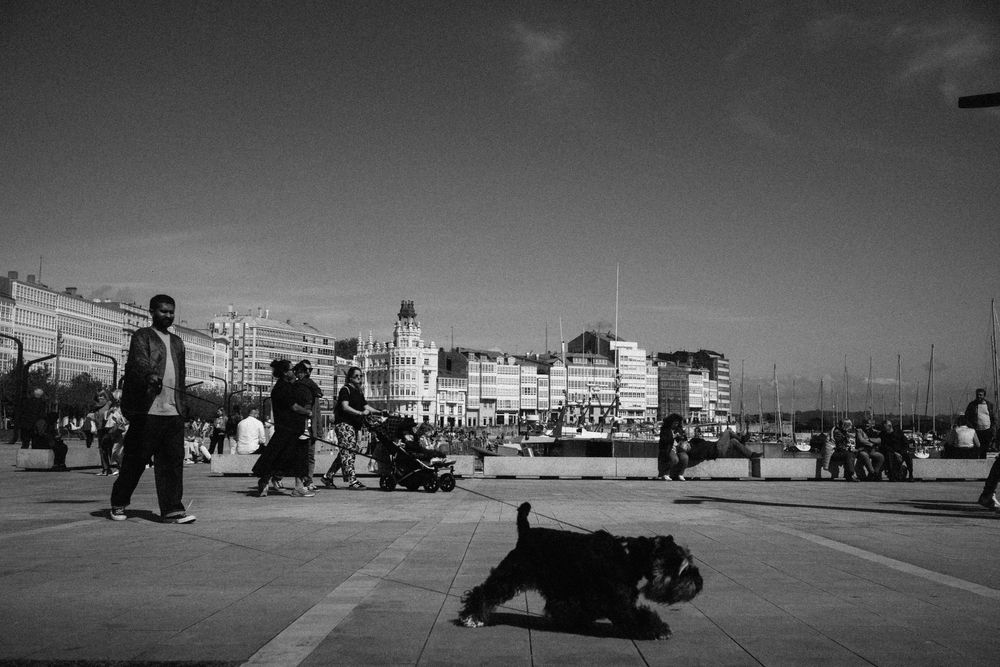 Leica Elmarit-R 35mm