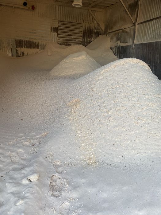 trociny czyste na pellet do suszenia