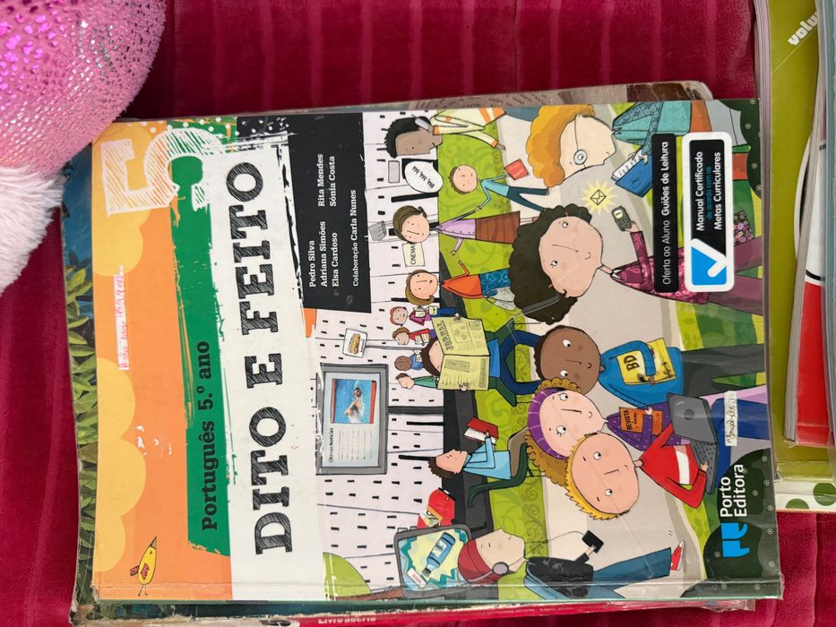 Livros reutilizáveis 5ano