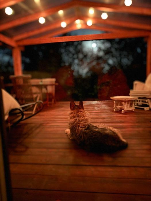 Domek do wynajecia Bieszczady/ferie/narty