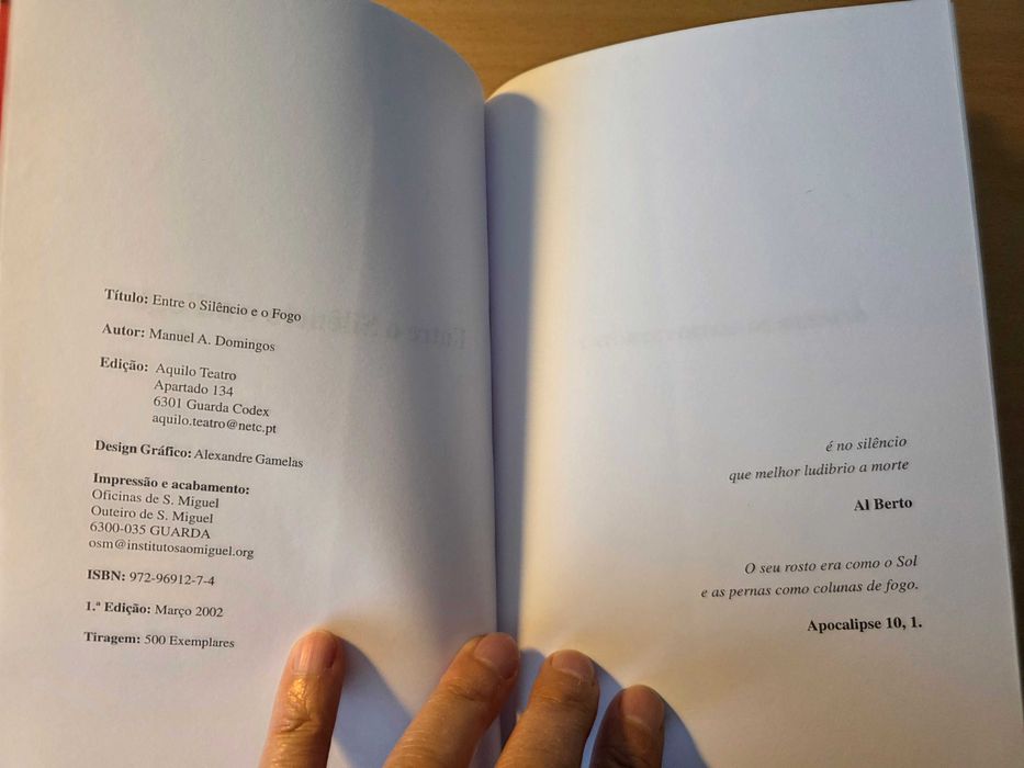 Livro "Entre o Silêncio e o Fogo" de Manuel A. Domingos