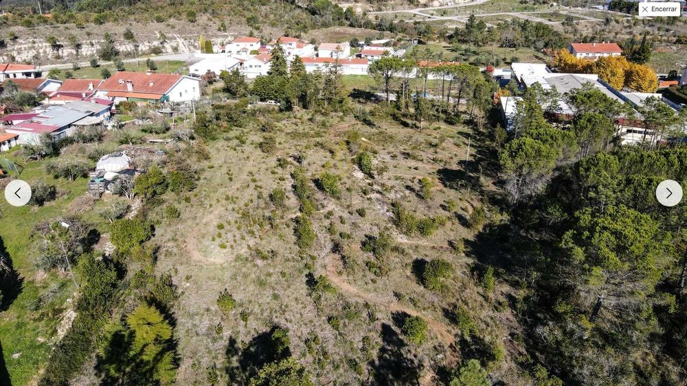 Terreno para construção em Cernache, 5000 m2