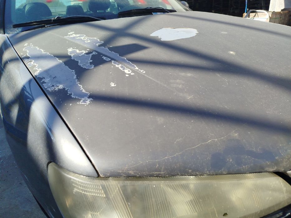 Capot PEUGEOT 406 (8B)