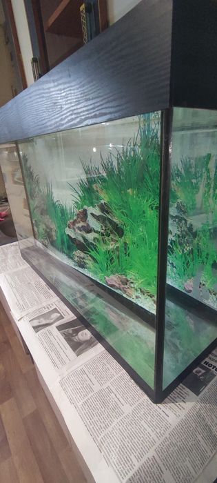 Аквариум 90 литров