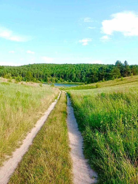 Продаж земельної ділянки. с. Добростани
