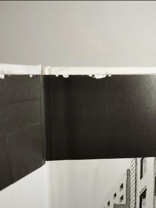 Livro "Nino: Viagem à América" 1993 - 1° Edição