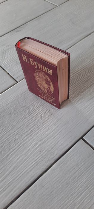 И.А. Бунин. Темные аллеи
