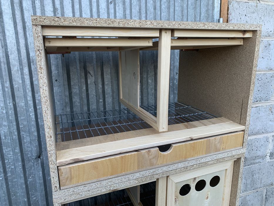 Cela motywacyjna legowa dla gołębi