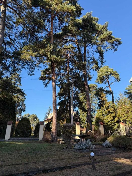 Оренда будинку у Брюховичах біля лісу