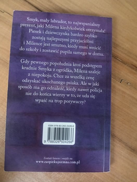 Smyk uprowadzony szczeniak Holly Webb