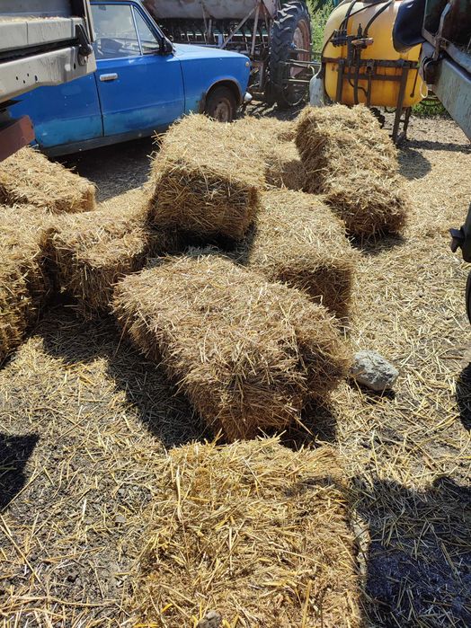 Продам люцерну  солому и сено в тюках