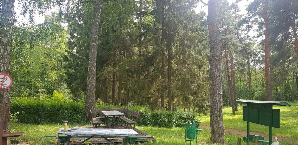 Продам будинок + парк 2 Га в Старому Мерчику | варіант для себе та бізнесу