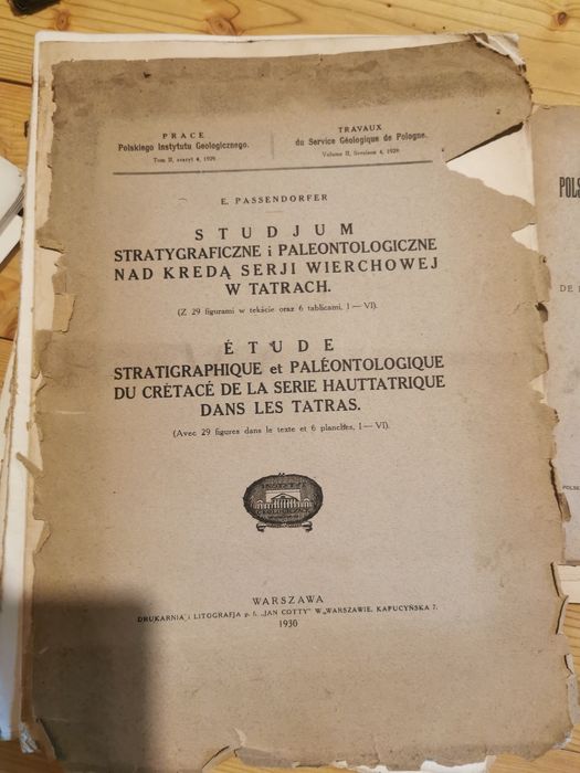 Studjum Stratygraficzne i paleontologiczne 1930 r