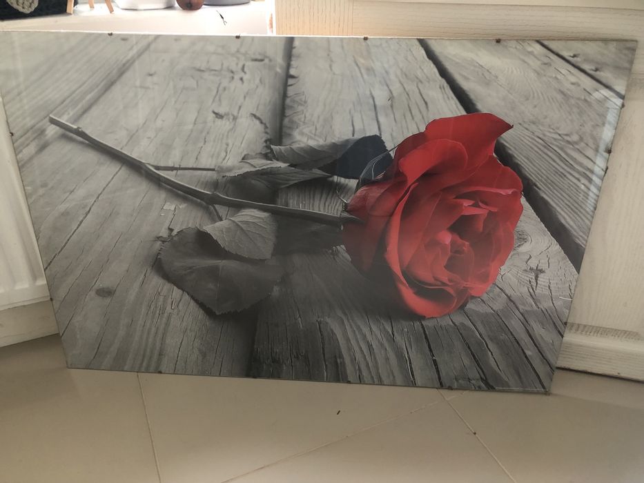 Antyrama szkło , róża, kwiat , obraz, dekoracja, 90x60