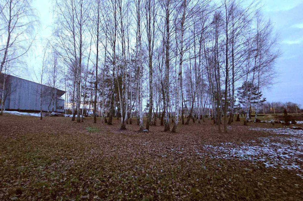 Земельна ділянка